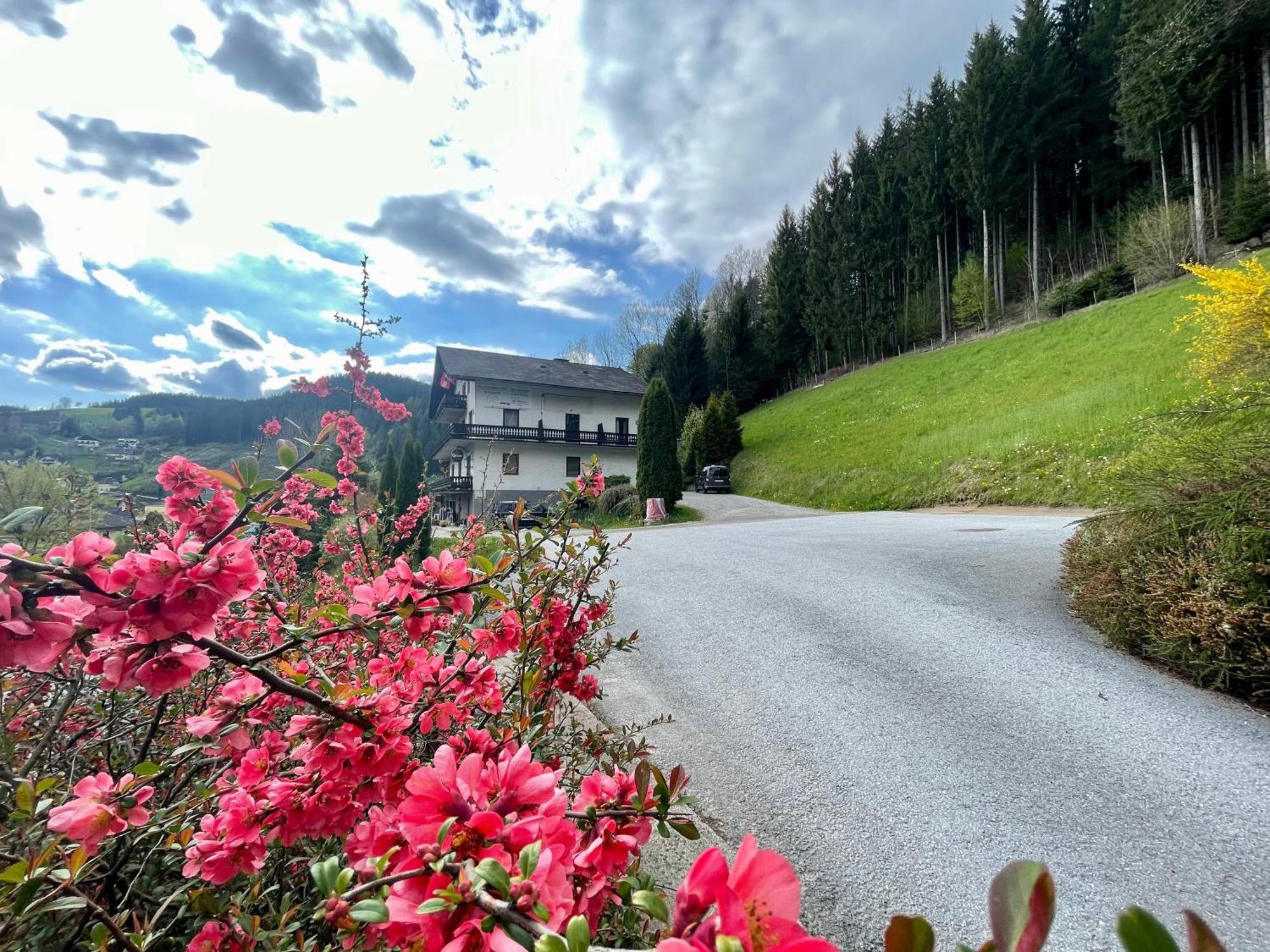 Alpenpension Gasthof Ratten Exterior photo